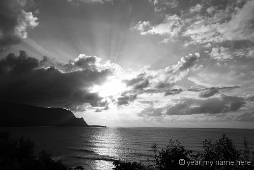 Black and White Gallery - Garden Island Photography
